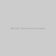 Image of MC1061 Escherichia coli Strains